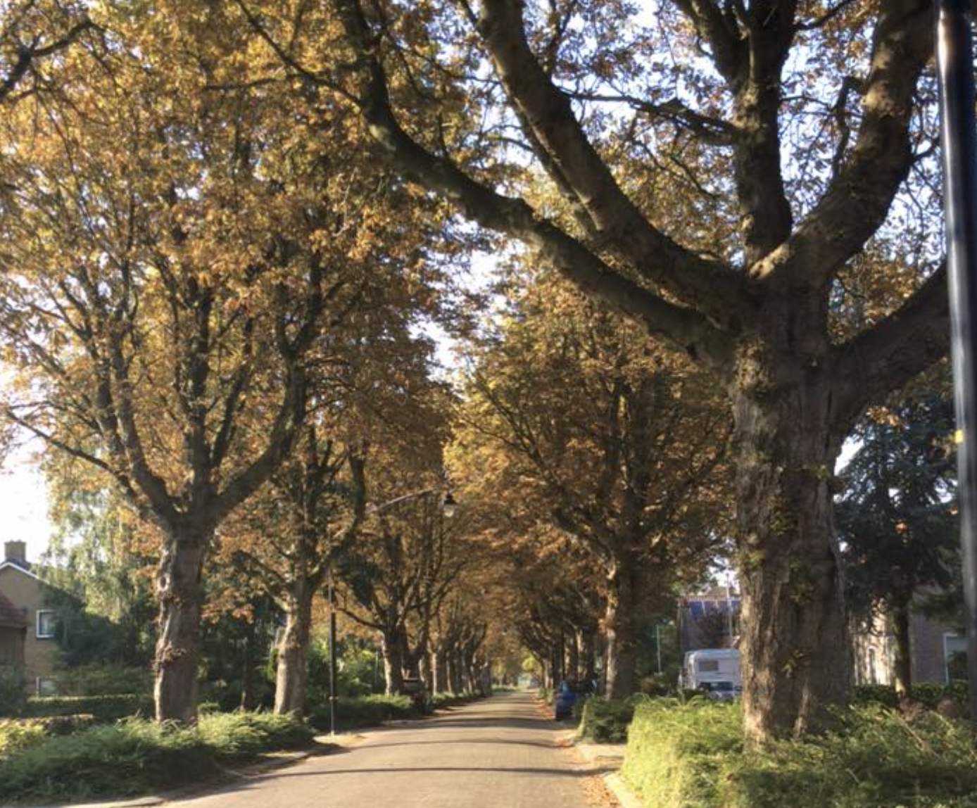 Schermafbeelding 2021-04-29 om 08.17.45