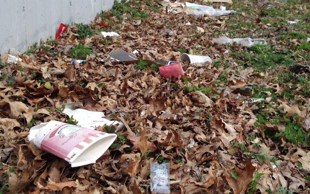 Vierde EndPlasticSoup Action Day  Zaterdag 5 juni 2021