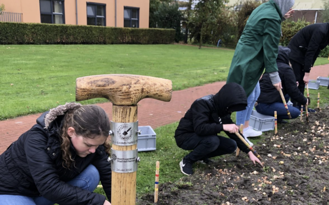 Tweede plantestafette in Heerhugowaard start op 26 oktober
