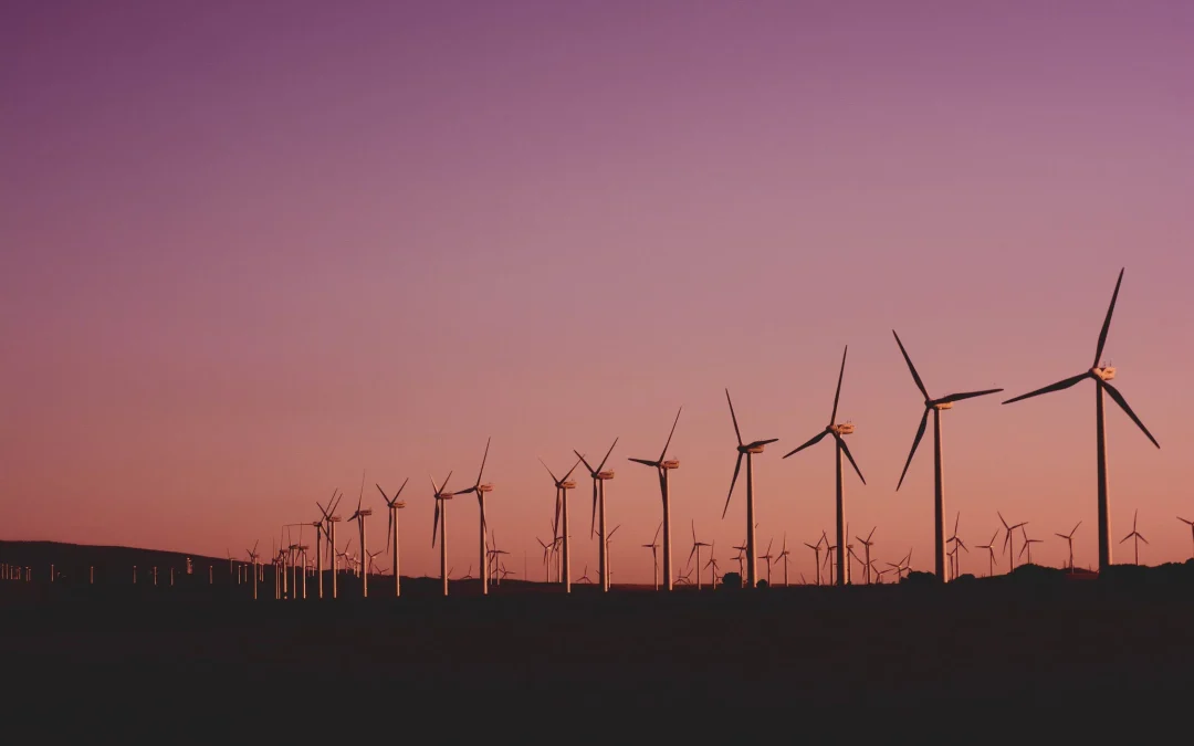 Windmolenparkbouwer SSE Renewables wil fors investeren in de regio Den Helder