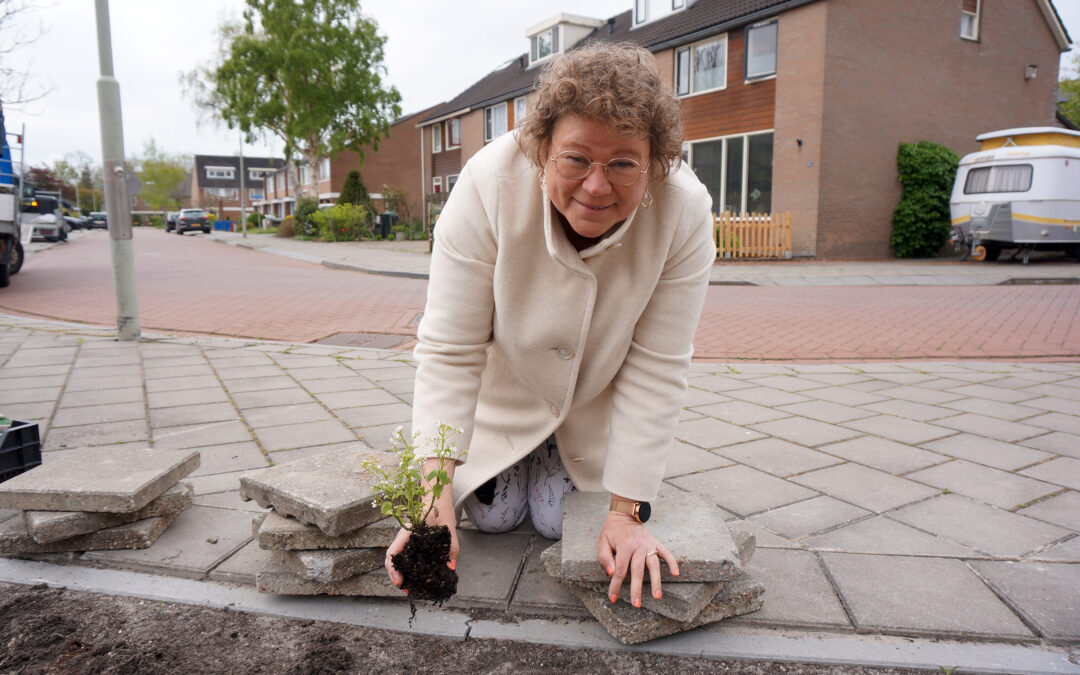 Doe mee aan het NK Tegelwippen: tegel eruit, groen erin!