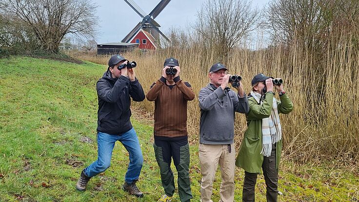 Het vleermuisseizoen is geopend!