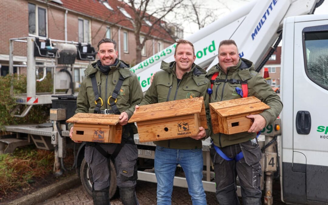 Goed nieuws voor onze vogels in Hoorn!